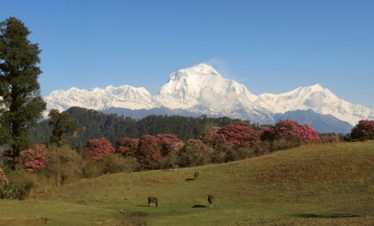 Khopra Danda Trek